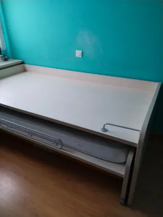 Cama juvenil con escritorio y estantería