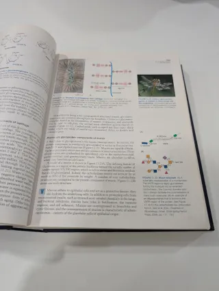 Biochemistry 8th Edition