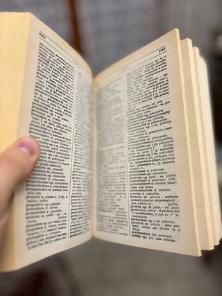 Dizionario Francese Italiano