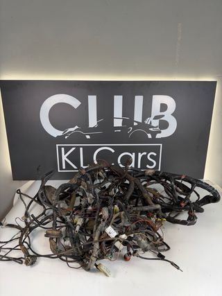 Nissan Terrano 2 Cableado Motor