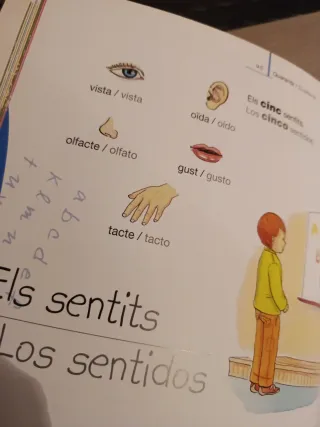 El meu primer diccionari de frases català/castellà