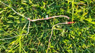 Kite Duotone EVO SLS 10m 2022