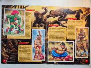 Album COMPLETO Street Fighter II 2 Año 1991 MERLIN
