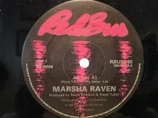 Vinilo Marsha Raven I Like Plastic