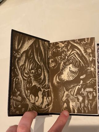 Rómulo Gallegos Novelas escogidas