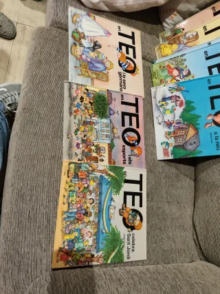 Pack 17 llibres del Teo