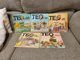 Pack 17 llibres del Teo