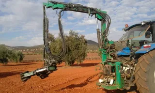 Máquina aceituna pendular cabezal grande
