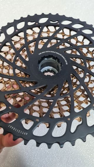 Cassette SRAM XX1 Eagle 12v 10-52 Cobre