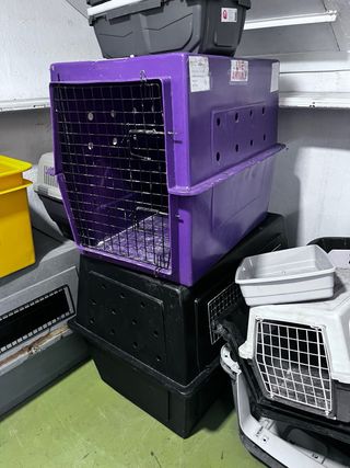 Transportín para mascotas de todas las medidas