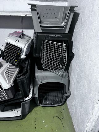 Transportín para mascotas de todas las medidas