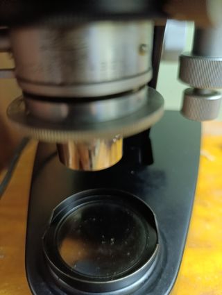 Microscopio Leica binocular 3
