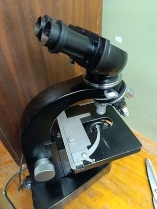 Microscopio Leica binocular 3