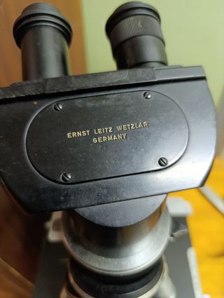 Microscopio Leica binocular 3