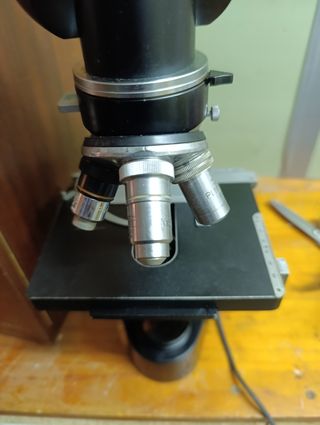 Microscopio Leica binocular 3