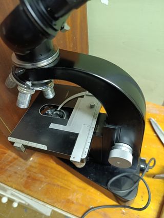 Microscopio Leica binocular 3