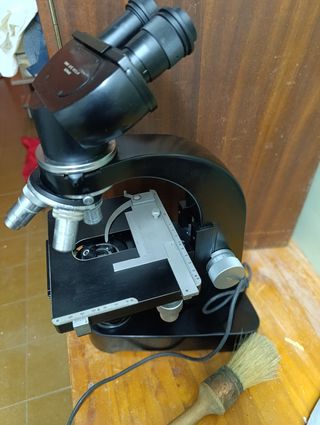 Microscopio Leica binocular 3