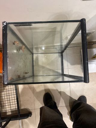 Acuario/Terrario cristal