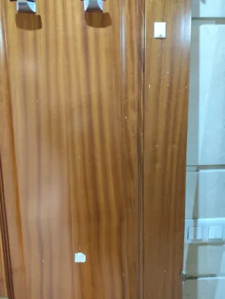 Puerta interior Sapelly abatible