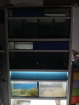 Estantería con Acuarios y acuarios sueltos