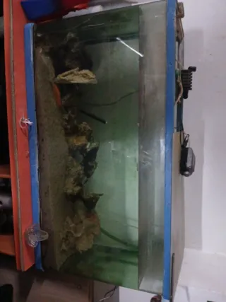 Estantería con Acuarios y acuarios sueltos