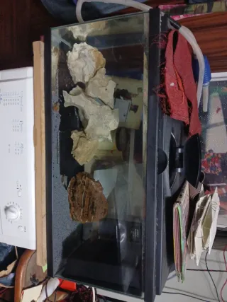 Estantería con Acuarios y acuarios sueltos