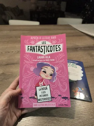 Les Fantasticotes i el Drac de les Lletres