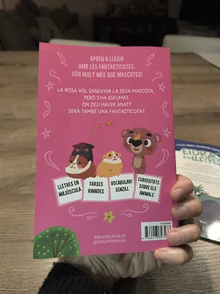 Les Fantasticotes i el Drac de les Lletres