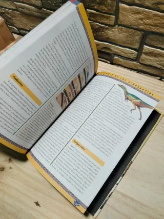 Gran libro de los dinosaurios (Spanish Edition)