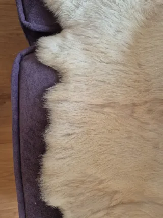 Abrigo de pelo crema con cinturón