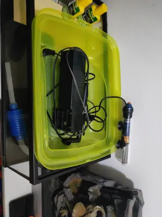 Terrario Tortuga Cristal Negro