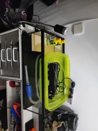 Terrario Tortuga Cristal Negro