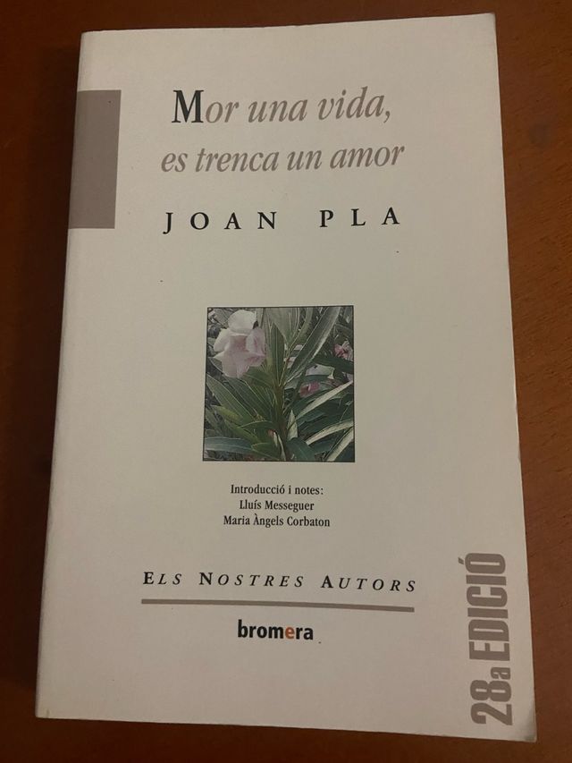 Mor una vida, es trenca un amor