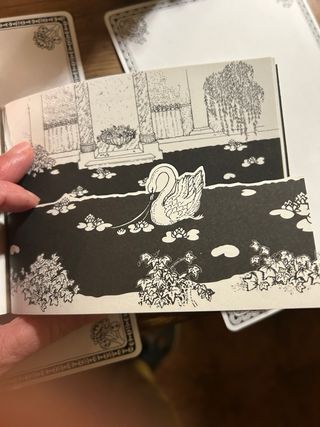 Diptyque portacandela Coriandre vuoto e altro