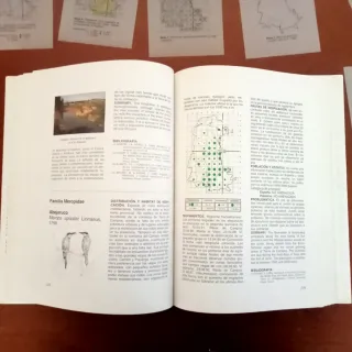 Atlas  aves nidificantes  provincia de Palencia