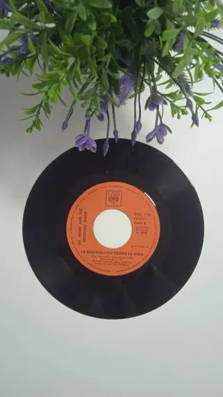 Vinilo Dr. Hook and The Medicine Show