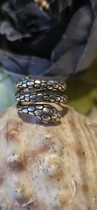 Anillo Plata Ley Serpiente