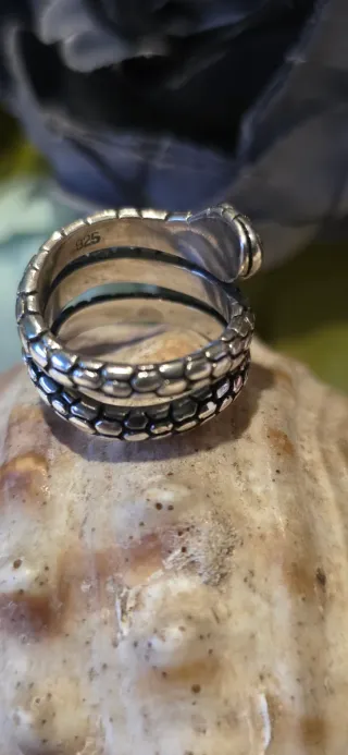 Anillo Plata Ley Serpiente