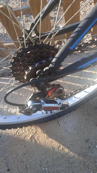 Bici Montaña 24 Niños hasta 16 Años