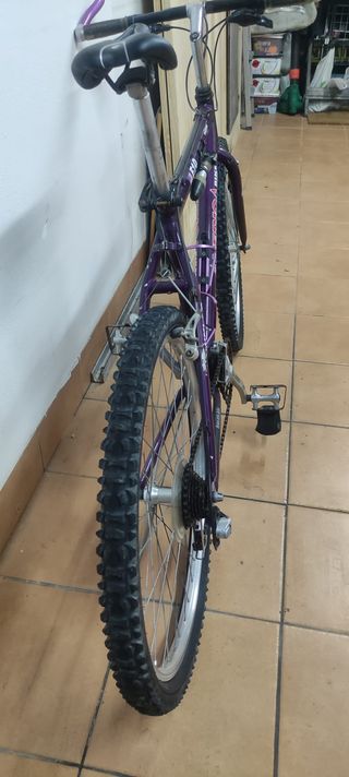 Bicicleta Morada America Bikes F10