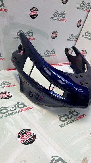 Quilla Suzuki SFV 650 09