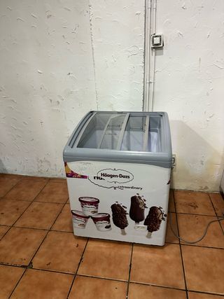Arcón Congelador Haagen-Dazs