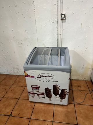 Arcón Congelador Haagen-Dazs