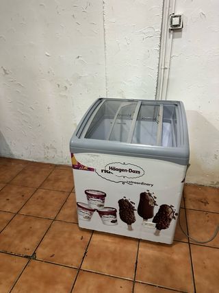Arcón Congelador Haagen-Dazs