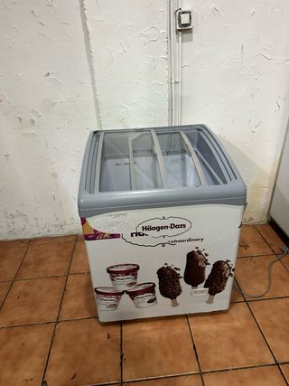 Arcón Congelador Haagen-Dazs