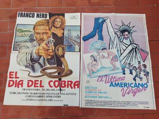 Lote 20 Carteles Cine