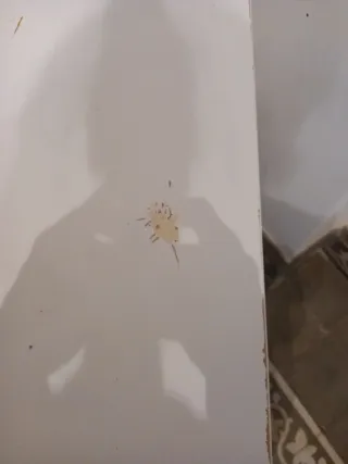 Mueble Almacenaje Ikea Blanco con Ruedas