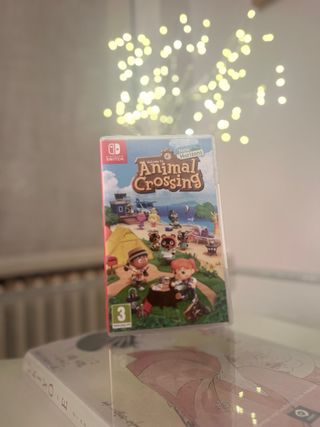 Animal Crossing New Horizons Switch