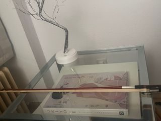 Violín Standler 3/4 para principiantes