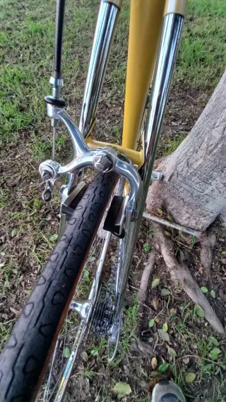 Bicicleta Clásica Pinarello Dorada